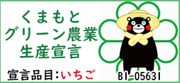 熊本グリーン農業生産宣言（宣言品目：いちご）